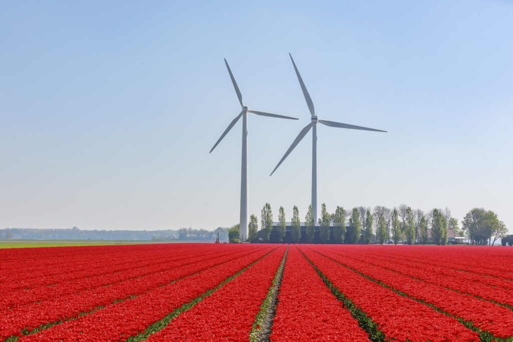 goeree-overflakkee reclamebureau